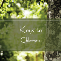 Keys to Chlorosis